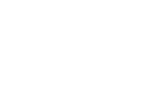 Big Squirrel Productions